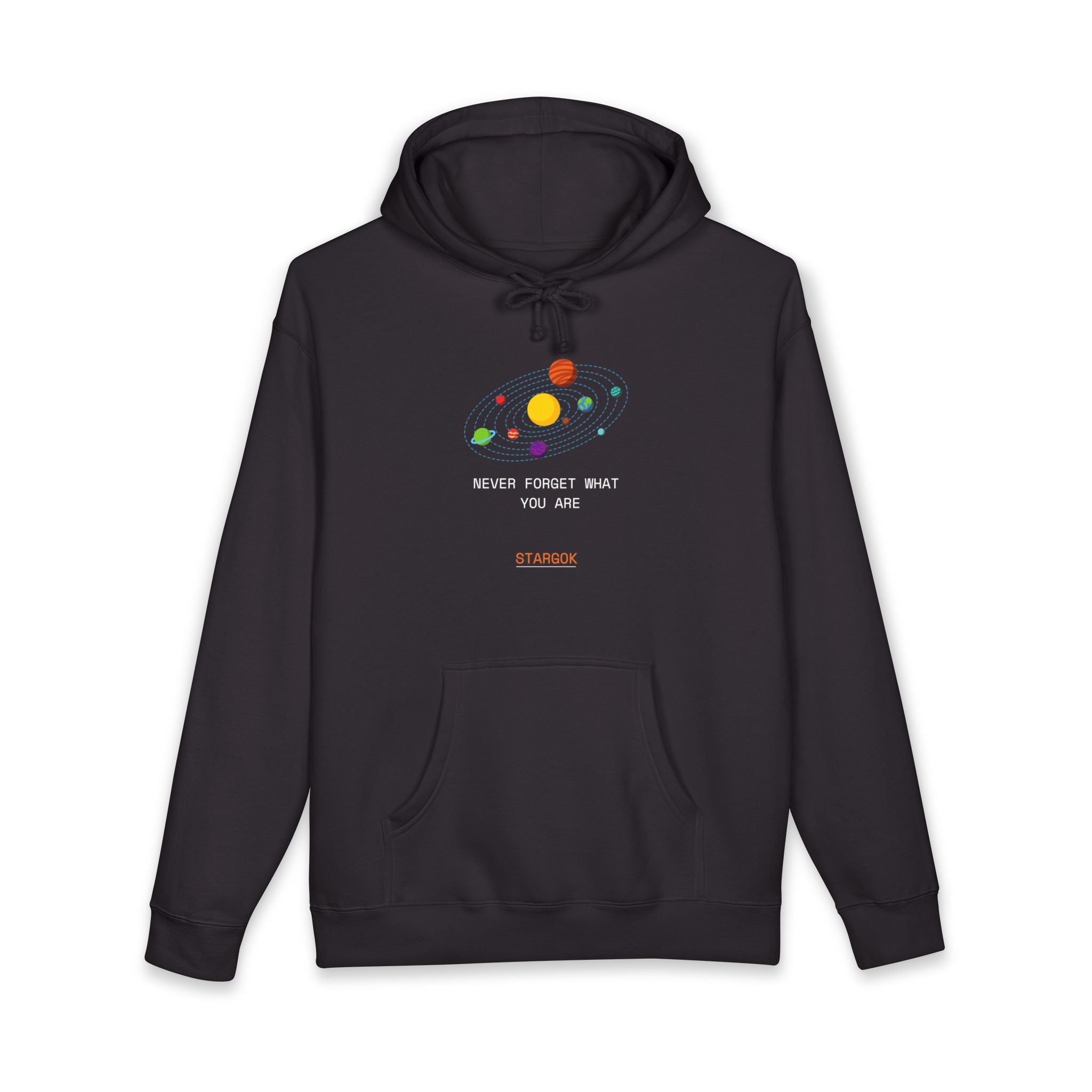 Planetary  Hoodie —  Space Sweatshirt