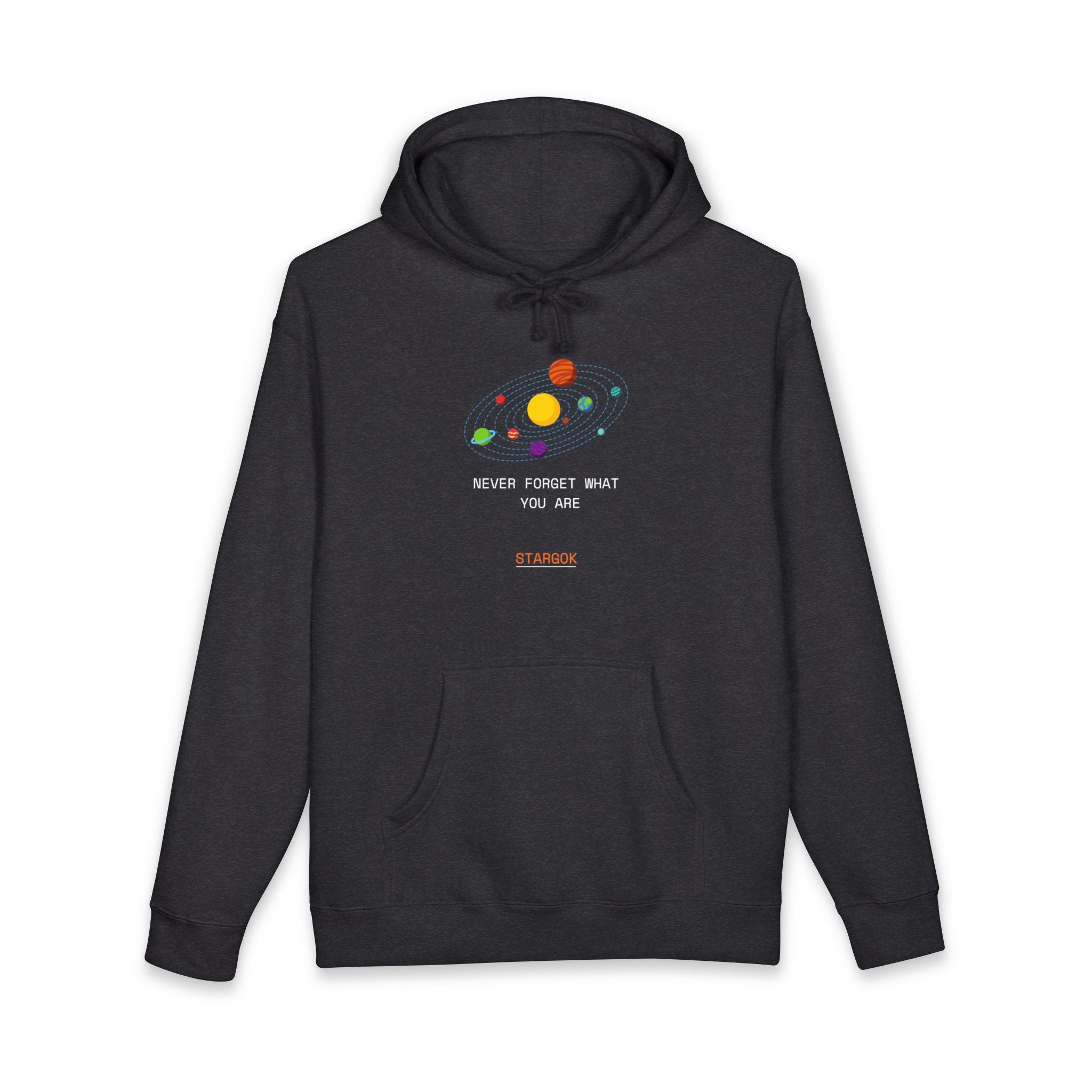 Planetary  Hoodie —  Space Sweatshirt